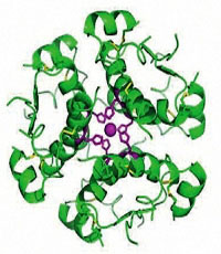 Az inzulin molekula szerkezeti képe